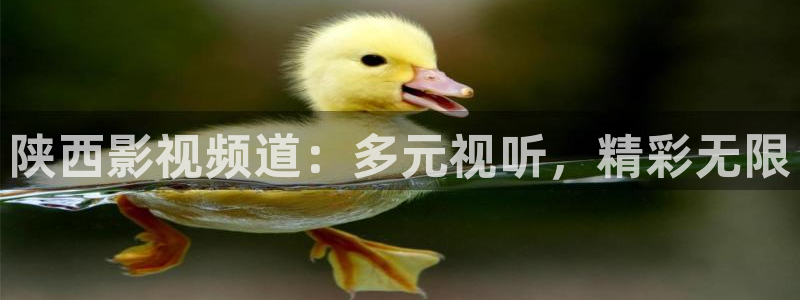 达达兔神马电影