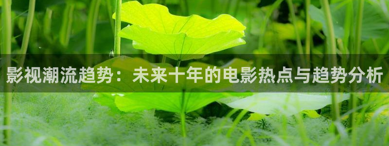 神马达达兔午夜影院