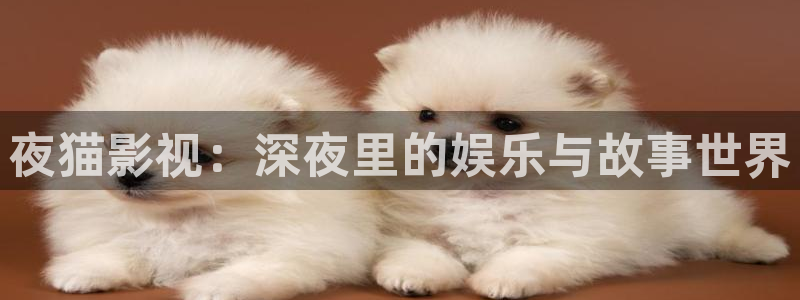 达达兔视频：夜猫影视：深夜里的娱乐与故事世界