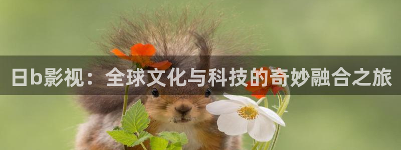 达达兔电影官方