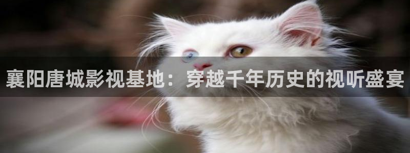 神马影院达达兔：襄阳唐城影视基地：穿越千年历史的视听盛宴